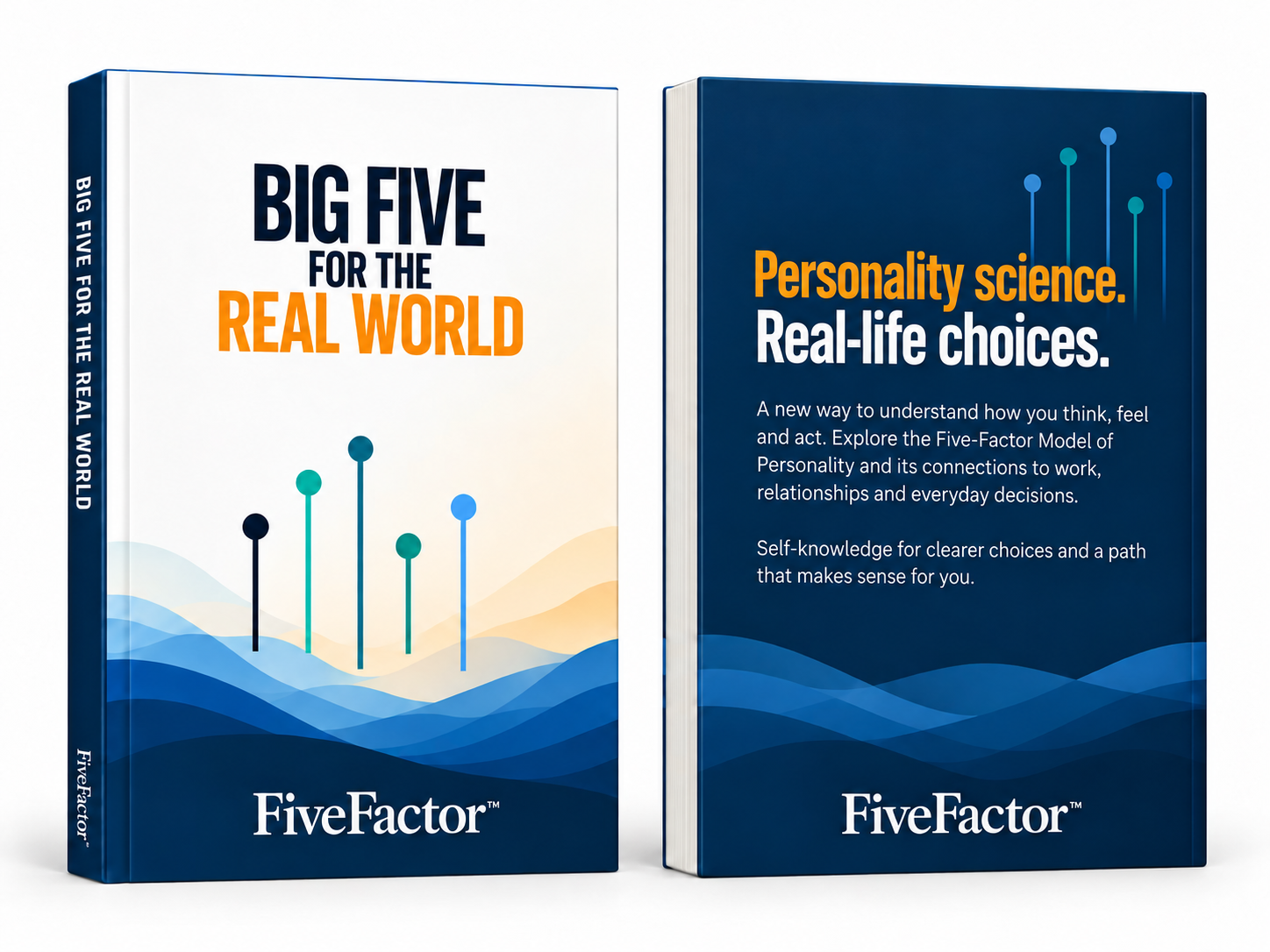 Big Five for the Real World